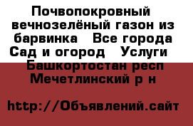 Почвопокровный, вечнозелёный газон из барвинка - Все города Сад и огород » Услуги   . Башкортостан респ.,Мечетлинский р-н